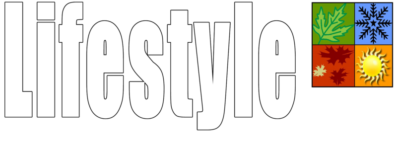 Lifestyle Garage Door Screen Installer and dealer in Houston Texas